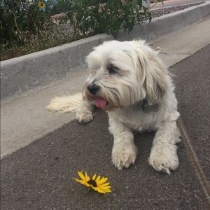 Meet your Posher, Julie